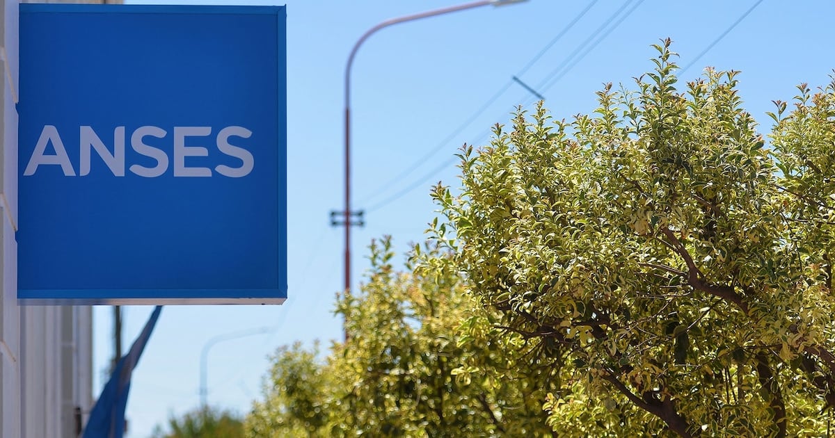 Cronograma de ANSES para octubre: fechas y montos confirmados para DNI terminados en 2