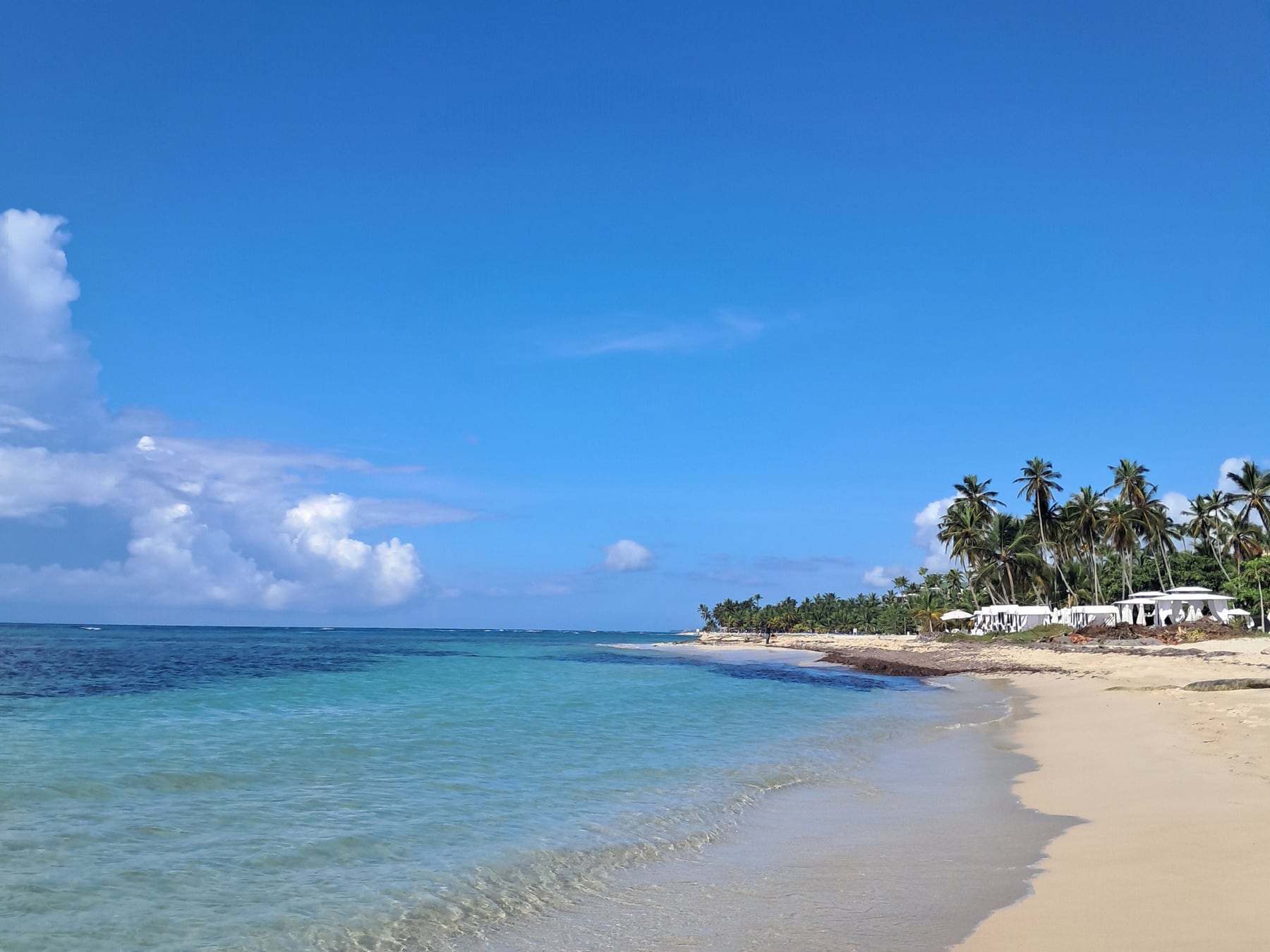 Masivo desembarco turístico: por qué República Dominicana apuesta fuerte por el viajero argentino y qué lugares del país quedan por descubrir