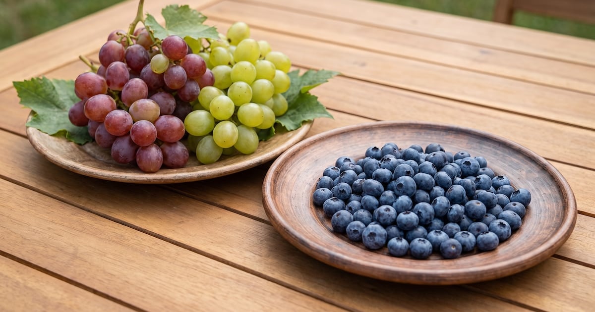 Arándanos o uvas: la fibra como aliada silenciosa para domar el pico de glucosa